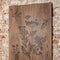 Schilderij | Amerikaans noten | Botanische print | ↑57cm - 57cm
