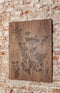 Schilderij | Amerikaans noten | Botanische print | ↑57cm - 57cm