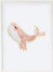Schilderij Crochetts 33 x 43 x 2 cm Walvis
