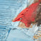 Schilderij DKD Home Decor 100 x 2,4 x 100 cm Abstract Modern (2 Stuks)