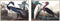 Schilderij DKD Home Decor 123 x 4,5 x 83 cm 83 x 4,5 x 123 cm Fågel Orientaals (2 Stuks)