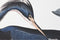 Schilderij DKD Home Decor 123 x 4,5 x 83 cm 83 x 4,5 x 123 cm Fågel Orientaals (2 Stuks)