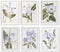 Schilderij DKD Home Decor 40 x 2 x 54 cm Blommor Shabby Chic (6 Onderdelen)