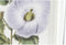 Schilderij DKD Home Decor 40 x 2 x 54 cm Blommor Shabby Chic (6 Onderdelen)