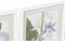 Schilderij DKD Home Decor 40 x 2 x 54 cm Blommor Shabby Chic (6 Onderdelen)