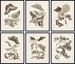 Schilderij DKD Home Decor 50 x 2,5 x 65 cm Blommor Modern (6 Onderdelen)
