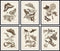 Schilderij DKD Home Decor 50 x 2,5 x 65 cm Blommor Modern (6 Onderdelen)