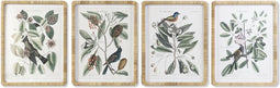 Schilderij DKD Home Decor 50 x 2,5 x 65 cm Shabby Chic Botanische planten (4 Onderdelen)
