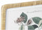 Schilderij DKD Home Decor 50 x 2,5 x 65 cm Shabby Chic Botanische planten (4 Onderdelen)