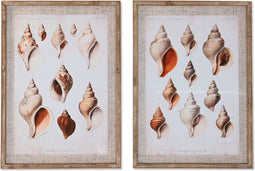 Schilderij DKD Home Decor 50 x 2.5 x 70 cm 50 x 2,5 x 70 cm (2 Stuks)