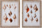 Schilderij DKD Home Decor 50 x 2.5 x 70 cm 50 x 2,5 x 70 cm (2 Stuks)
