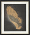 Schilderij DKD Home Decor (63 x 3,5 x 53 cm)