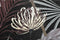 Schilderij DKD Home Decor 83 x 4,5 x 122,5 cm 83 x 4,5 x 123 cm Tropisch Blad van een plant (2 Stuks)