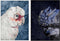Schilderij DKD Home Decor 83 x 4,5 x 123 cm Papegaai Tropisch (2 Stuks)