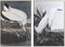 Schilderij DKD Home Decor 83 x 4 x 123 cm Fågel Orientaals (2 Stuks)