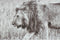 Schilderij DKD Home Decor 92,5 x 3,5 x 32 cm Koloniaal Jungle (3 Onderdelen)