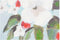 Schilderij DKD Home Decor CU-181694 Canvas Boeddha Orientaals (140 x 3 x 140 cm) (2 pcs)