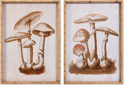 Schilderij DKD Home Decor Kristal 50 x 70 x 2,8 cm 50 x 2,8 x 70 cm Paddenstoel (2 Stuks)