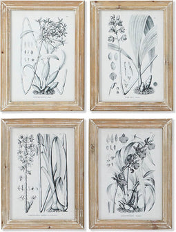 Schilderij DKD Home Decor Modern Botanische planten 30 x 2 x 40 cm (4 Stuks)