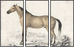 Schilderij DKD Home Decor Paard (180 x 4 x 120 cm)