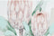 Schilderij DKD Home Decor Scandinavisch 53 x 4,5 x 73 cm (2 Stuks)