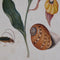 Schilderij DKD Home Decor Spar Kristal 50 x 65 x 2,5 cm 50 x 2,5 x 65 cm 50 x 2,5 x 70 cm Blommor (4 Onderdelen)