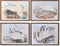 Schilderij DKD Home Decor Spar Kristal 70 x 50 x 2 cm Reiger (4 Onderdelen)