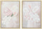 Schilderij DKD Home Decor Vaas 50 x 4 x 70 cm Scandinavisch (2 Stuks)
