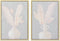 Schilderij DKD Home Decor Vaas 50 x 4 x 70 cm Shabby Chic (2 Stuks)