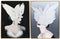 Schilderij DKD Home Decor Veren 60 x 3 x 80 cm Modern (2 Stuks)