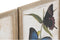Schilderij DKD Home Decor Vlinders 40 x 2 x 50 cm Shabby Chic (4 Onderdelen)