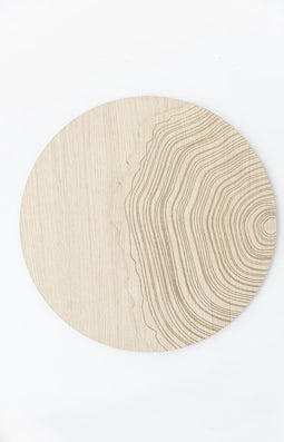 Schilderij | Eiken | Boomstam reliëf | ↑57cm - 57cm