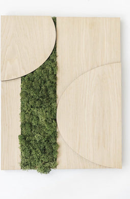 Schilderij | Groen rendiermos | Eiken | Reliëf | ↑45cm - 30cm