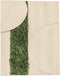 Schilderij | Groen rendiermos | Eiken | Reliëf | ↑45cm - 30cm