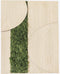 Schilderij | Groen rendiermos | Eiken | Reliëf | ↑45cm - 30cm