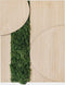 Schilderij | Groen rendiermos | Eiken | Reliëf | ↑45cm - 30cm