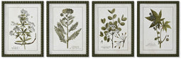 Schilderij Home ESPRIT Groen Beige Shabby Chic Botanische planten 30 x 2,5 x 40 cm (4 Stuks)