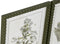 Schilderij Home ESPRIT Groen Beige Shabby Chic Botanische planten 30 x 2,5 x 40 cm (4 Stuks)