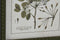 Schilderij Home ESPRIT Groen Beige Shabby Chic Botanische planten 30 x 2,5 x 40 cm (4 Stuks)