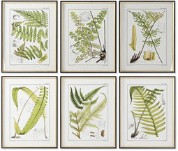 Schilderij Home ESPRIT Modern Vaatplant 50 x 2,5 x 65 cm (6 Stuks)
