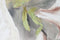 Schilderij Home ESPRIT Tropisch 90 x 3,7 x 120 cm (2 Stuks)