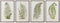 Schilderij Home ESPRIT Vaatplant Cottage 45 x 2,5 x 70 cm (4 Stuks)