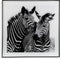 Schilderij Kristal (2 x 50 x 50 cm) Zebra