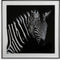 Schilderij Kristal (2 x 50 x 50 cm) Zebra