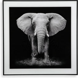 Schilderij Versa (2 x 50 x 50 cm)