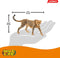 Schleich 17056 | Wild Life | Cheeta