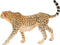 Schleich 17056 | Wild Life | Cheeta