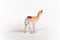 schleich BAYALA - Speelfiguur - Lama Eenhoorn - Fantasie Kinderspeelgoed - 5 tot 12 Jaar - 70743