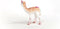 schleich BAYALA - Speelfiguur - Lama Eenhoorn - Fantasie Kinderspeelgoed - 5 tot 12 Jaar - 70743