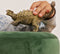 schleich DINOSAURUS - Ankylosaurus - Speelfiguur - Dino Speelgoed - Kinderspeelgoed voor Jongens en Meisjes - 15023